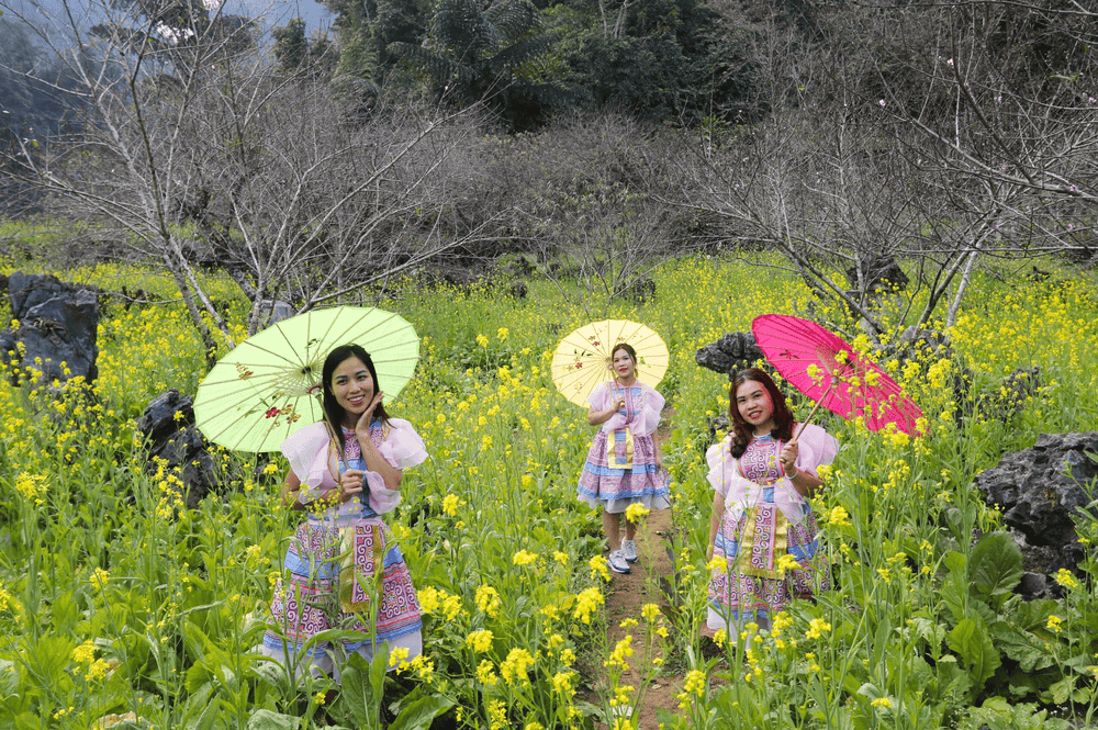 Thung Lũng Bướt Mùa Xuân: Khám Phá Thiên Nhiên Mùa Xuân Tây Bắc Thung Lũng Bướt Mùa Xuân: Khám Phá Thiên Nhiên Mùa Xuân Tây Bắc