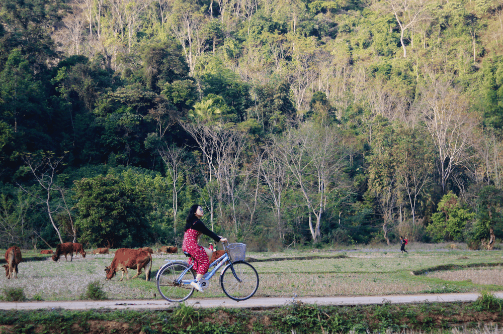 Mùa Đông Ở Bướt:  Văn Hoá, Ẩm Thực Tây Bắc; Mó Nóng Bò Ấm; Trekking Rừng