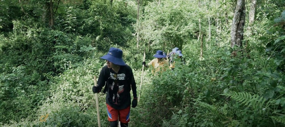 Cách đi rừng an toàn