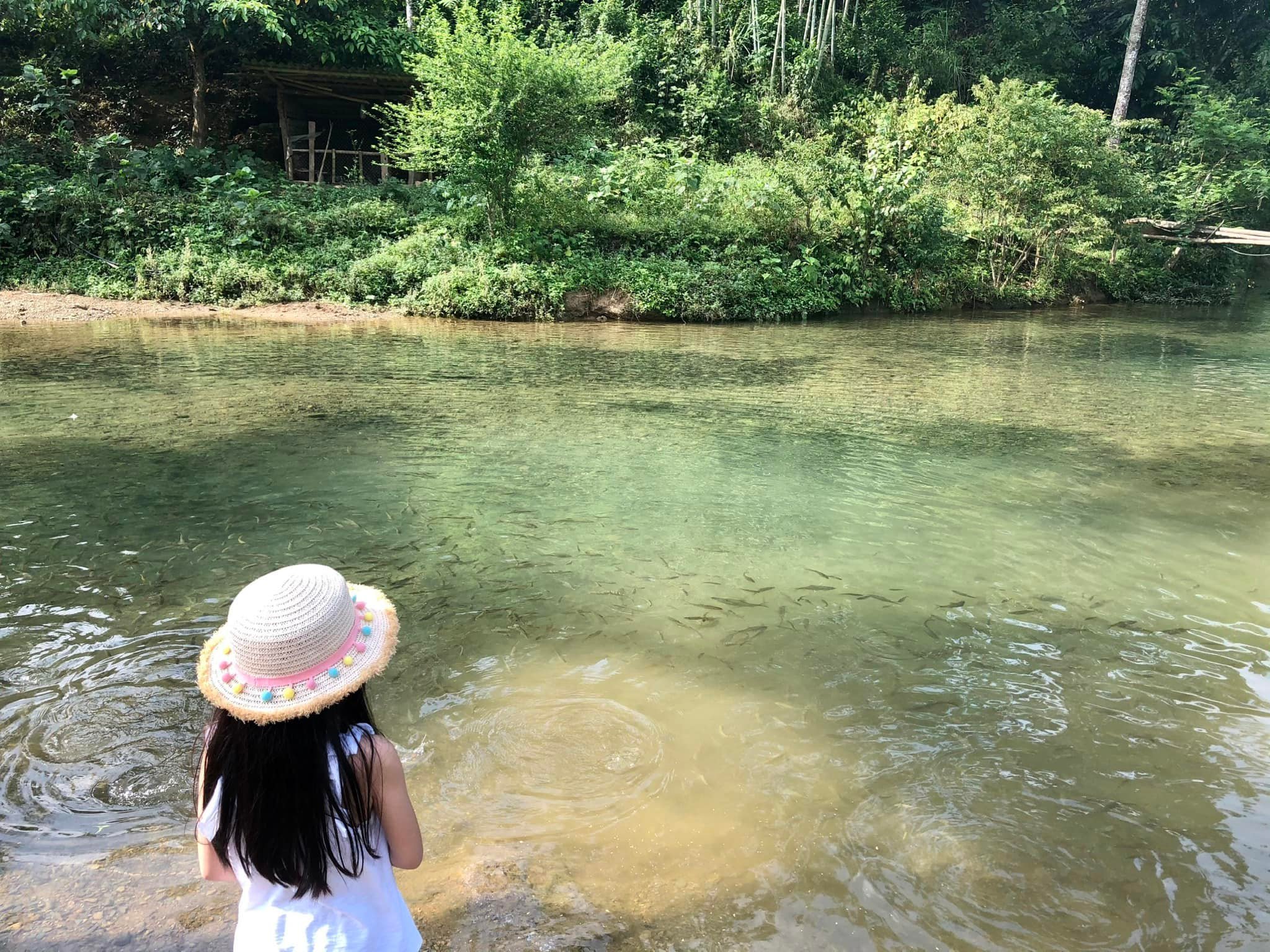 Khi đàn tôm, cá trở về bơi lội tung tăng trên các dòng suối trên bản Bướt